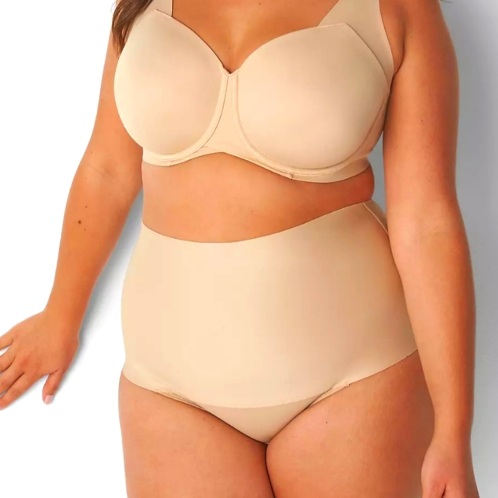Lane Bryant High waisted Brief